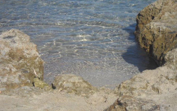 Salento 2010