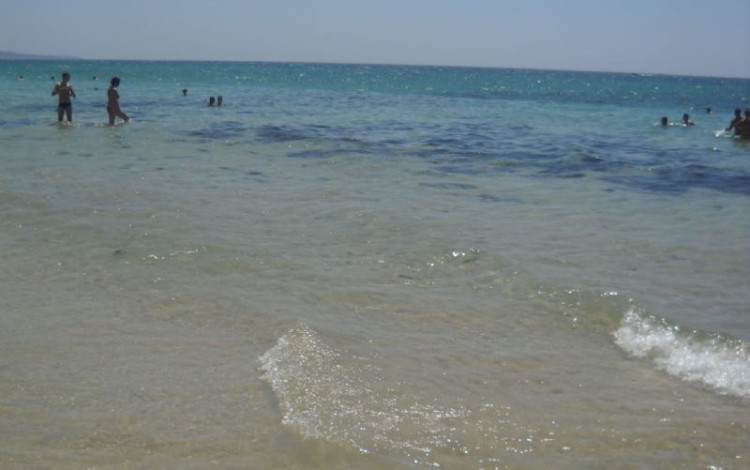 Salento 2010