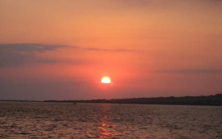Salento 2010