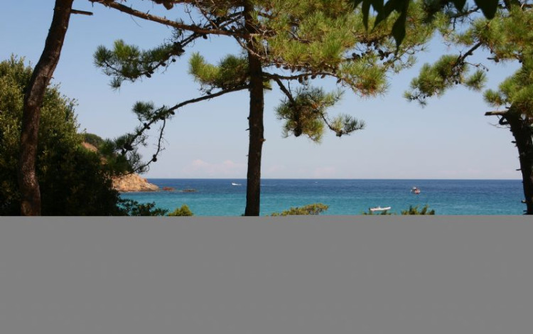Corsica agosto 2010