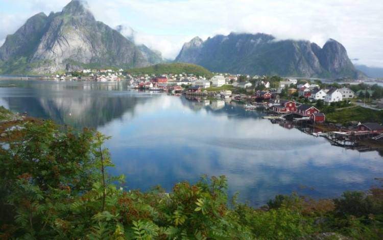 PeterCan, un beagle veronese in Norvegia