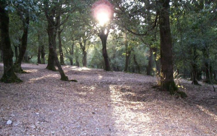 Sardegna 2010 via dalla pazza folla