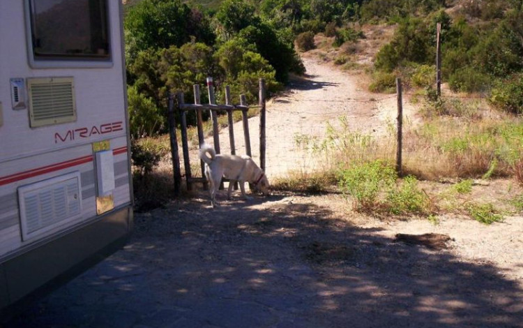 Sardegna 2010 via dalla pazza folla