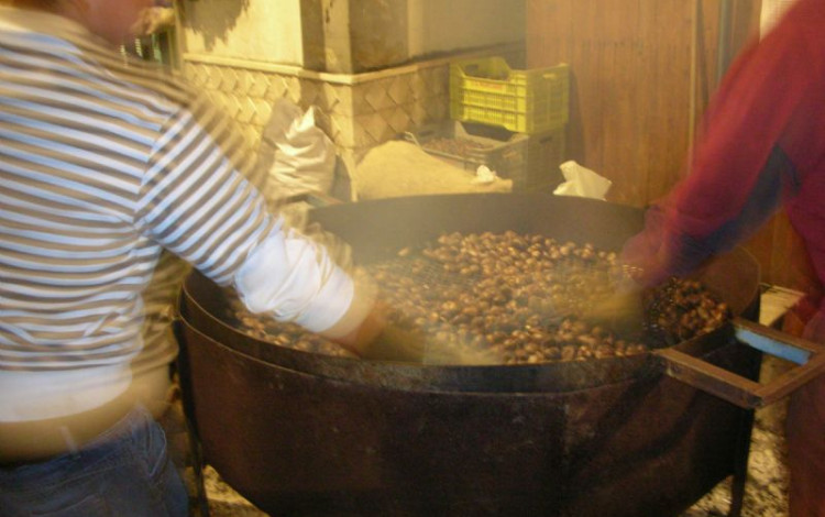 Festa della castagna Acerno