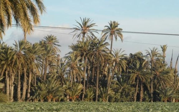 Spagna e Gibilterra