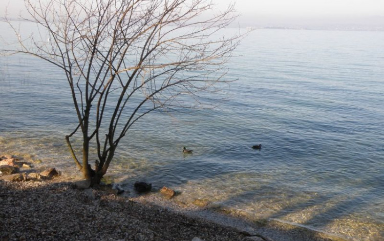 Weekend a Lazise sul Garda
