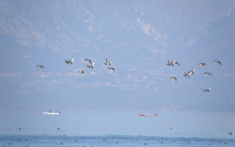 Weekend a Lazise sul Garda