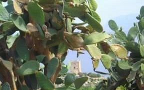 Ottobre nella Sicilia Occidentale