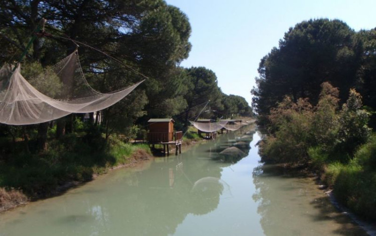 Dalle Foreste Casentinesi all'Adriatico
