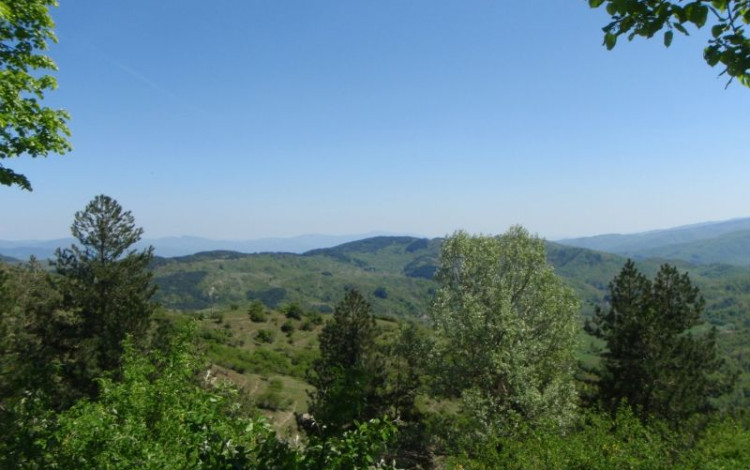 Dalle Foreste Casentinesi all'Adriatico