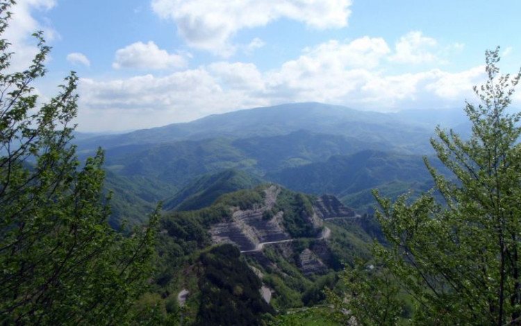 Dalle Foreste Casentinesi all'Adriatico