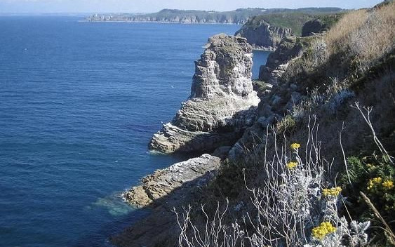Viaggio di nozze in Francia