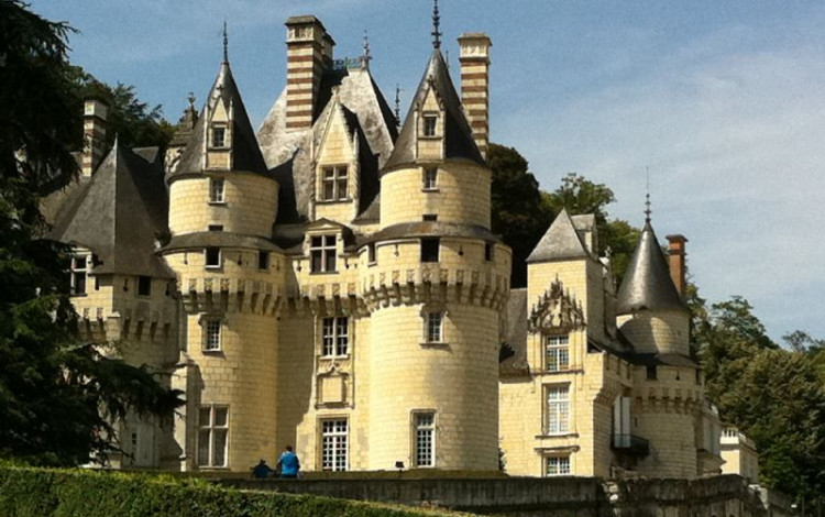 Castelli della Loira- Normandia- Disneyland