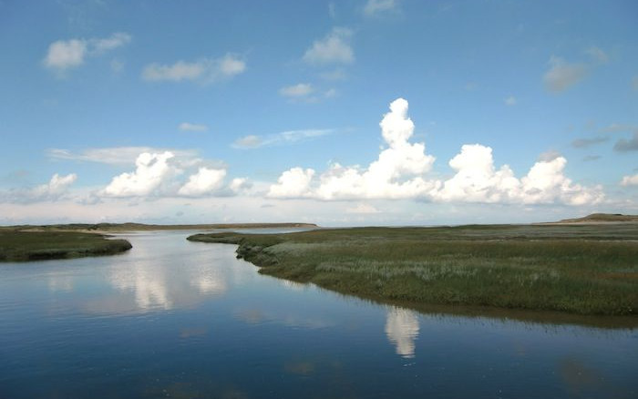 Olanda 2010