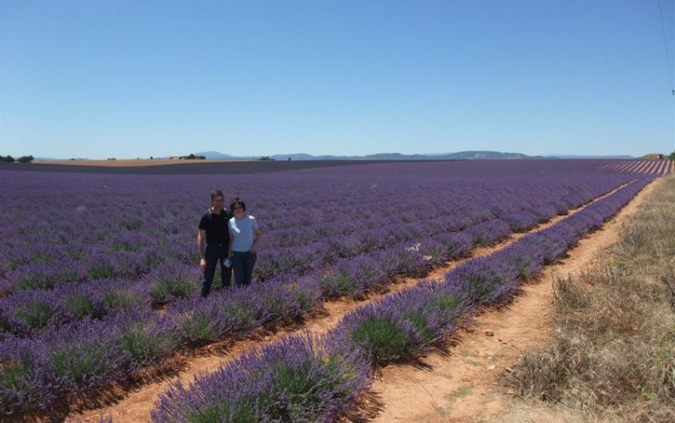 Provenza, Pirenei e Perigord