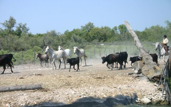 Provenza e Costa Azzurra