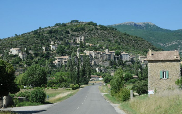 Ritorno in Provenza, fra i campi di lavanda 