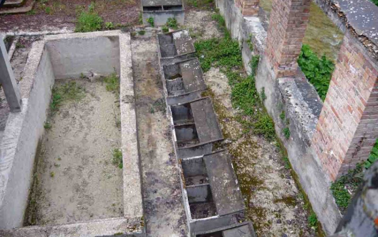 Pergola e Pinarella di Cervia.