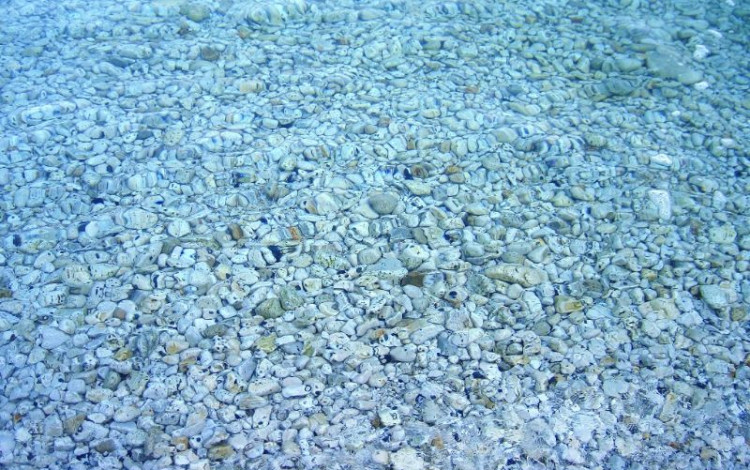 Tour Isola d'Elba