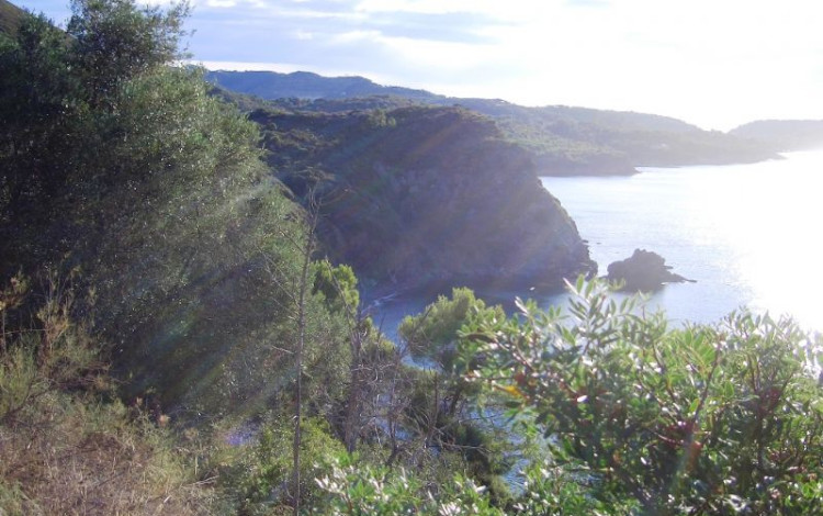 Tour Isola d'Elba