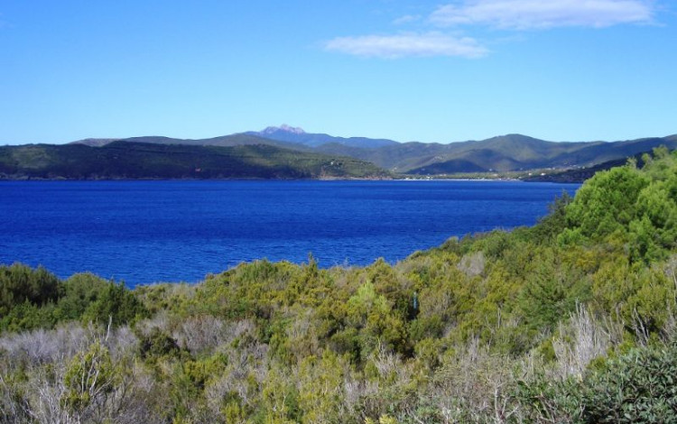 Tour Isola d'Elba