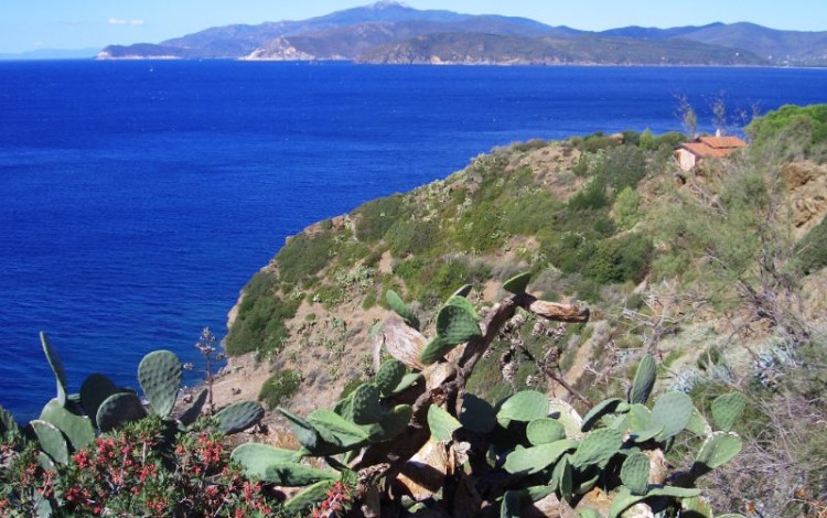 Tour Isola d'Elba