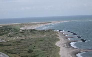 Danimarca 2011