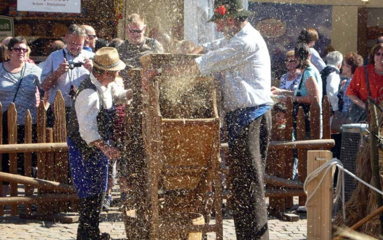 Festa del Pane e dello Strudel 
