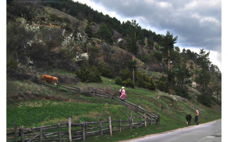 Assaggio di Bulgaria