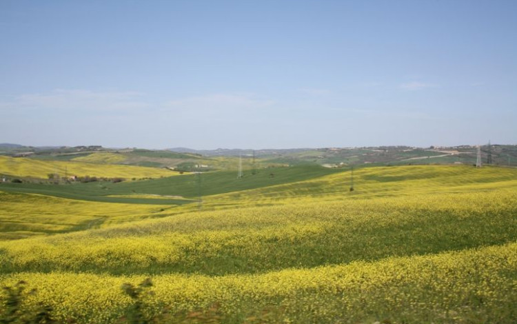 Le crete senesi e la val d'orcia