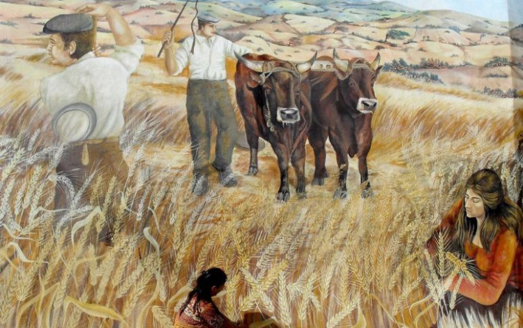 Da Stintino a Cuglieri e non solo