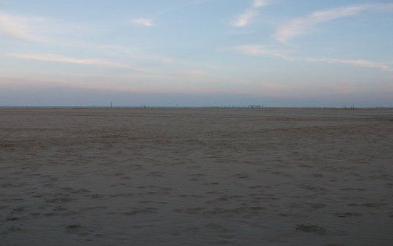 Valli di Comacchio