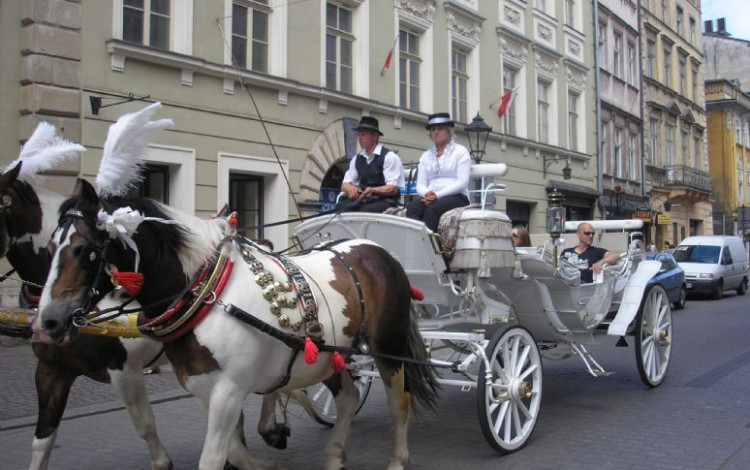 Polonia 2012