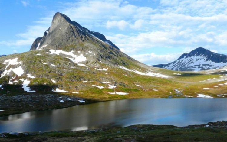 Norvegia