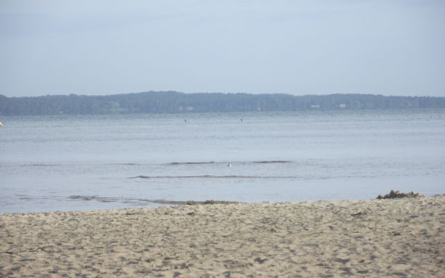 Vacanze estive 2012