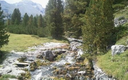 Trentino 11-24 agosto 2012
