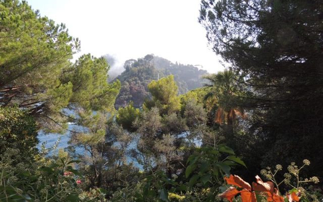 Breve viaggio in Liguria nel Golfo del Tigullio