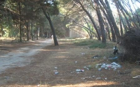 Calabria: che delusione!
