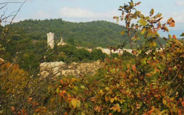 Colori d'Autunno in Provenza