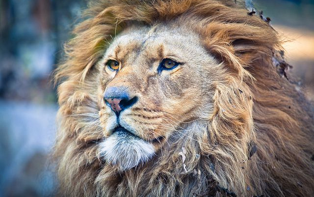 Gita allo Zoo e mare