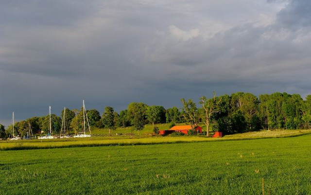 Il Grande Nord 2012