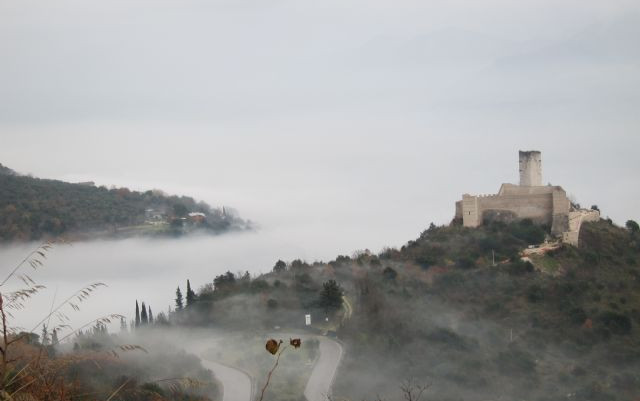 Calimero in Costa Amalfitana