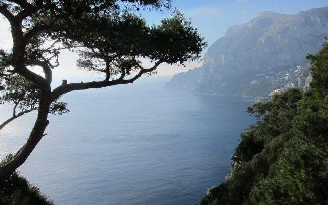 Calimero in Costa Amalfitana