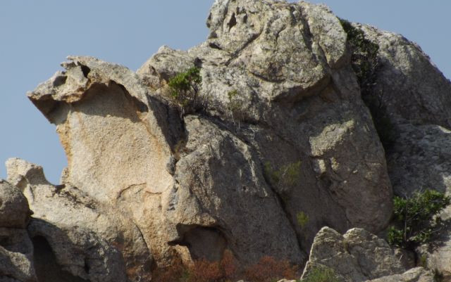 corsica del nord