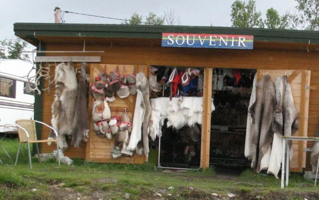 Scandinavia in camper