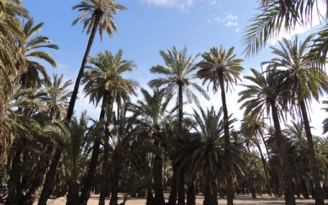 Spagna del Sud