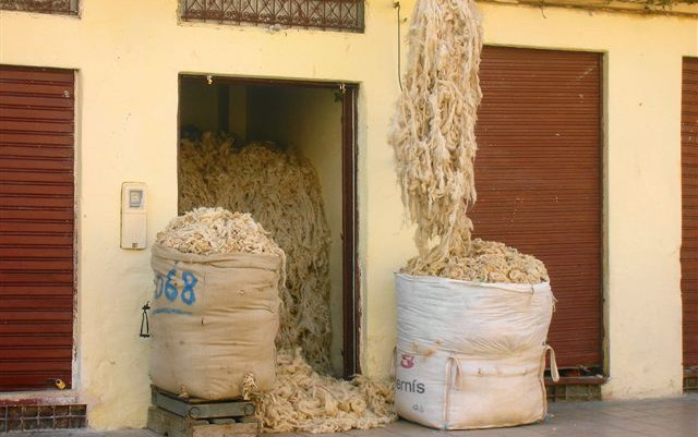 Marocco a misura di bimbo (e non solo)