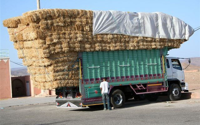 Marocco a misura di bimbo (e non solo)