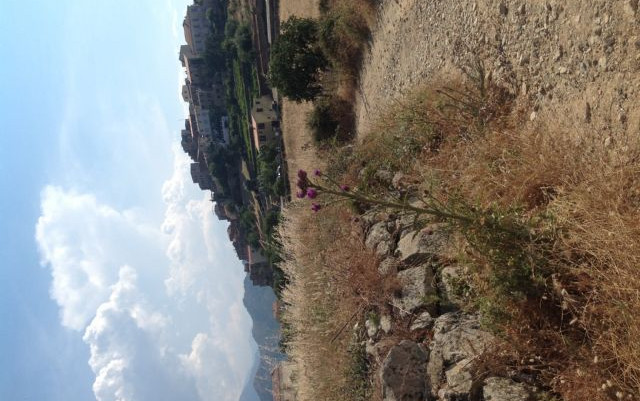 Riprendere a vivere in Corsica