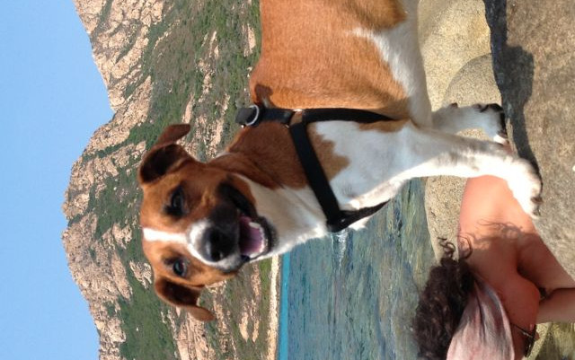 Riprendere a vivere in Corsica